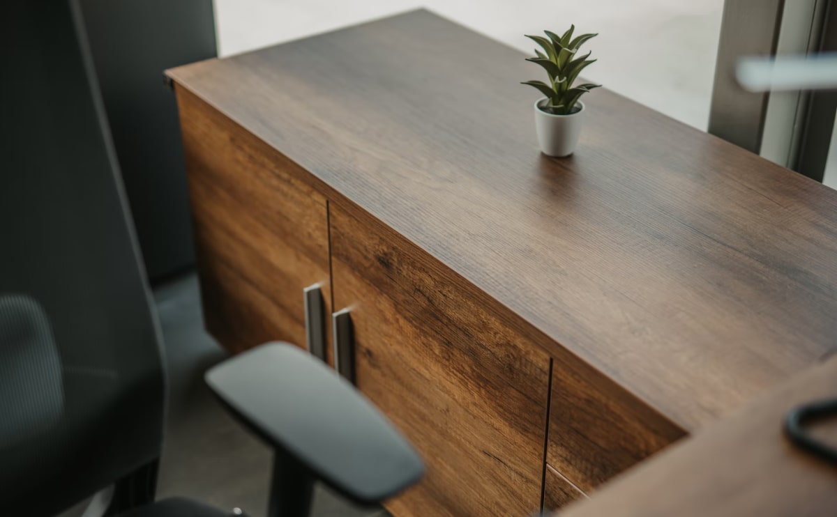 Modern wooden cabinet with a small potted plant on top.