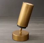 Gorvey pivoting spotlight with gold finish for modern lighting design.