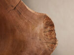 GV Organic Wood Sconce with Natural Milpa Wood Dome - Image 9